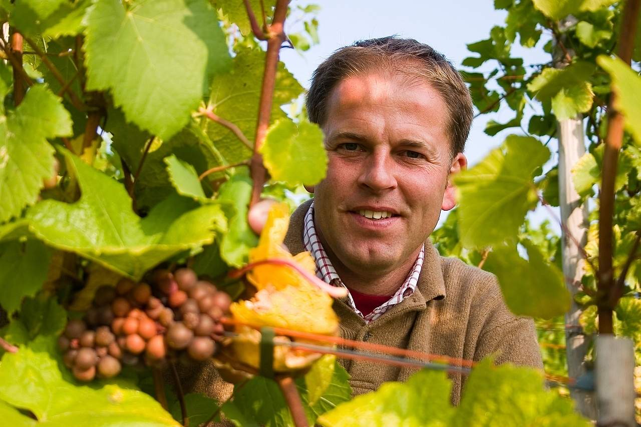 Mathieu Hulst van wijngaard De Apostelhoeve