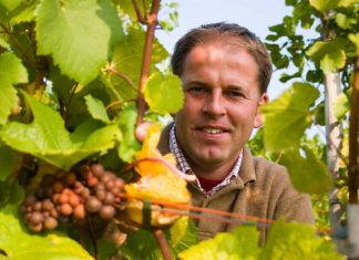 Mathieu Hulst van wijngaard De Apostelhoeve